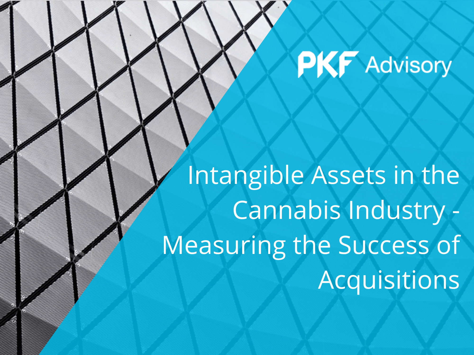 Intangible Assets in the Cannabis Industry – Measuring the Success of Acquisitions