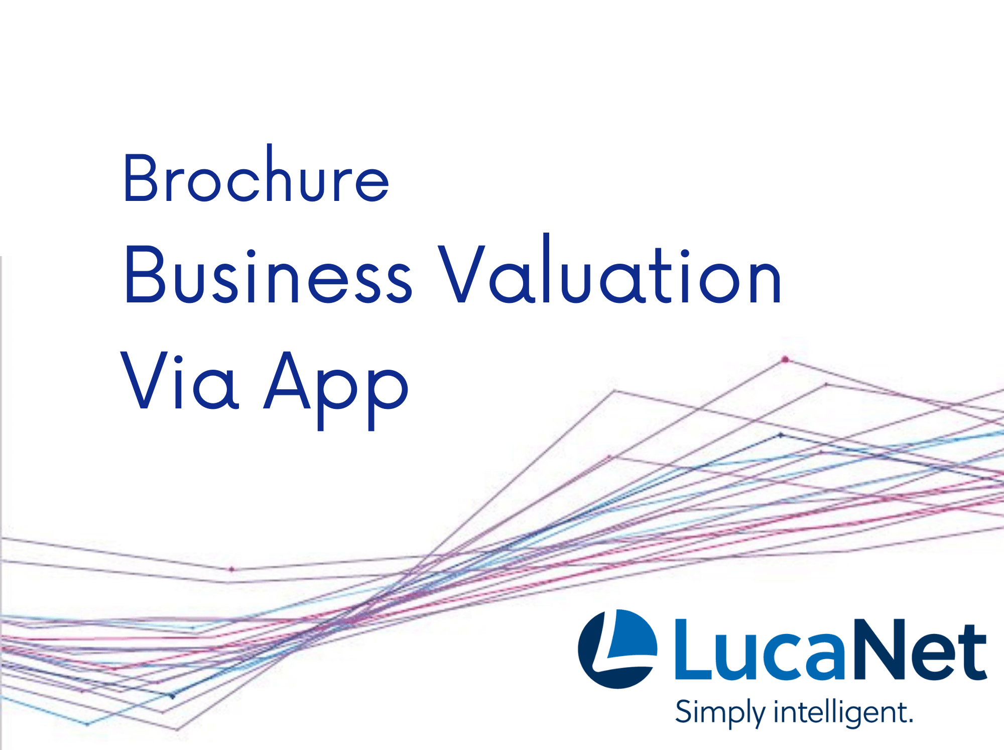 LucaNet: Brochure - Business Valuation Via App