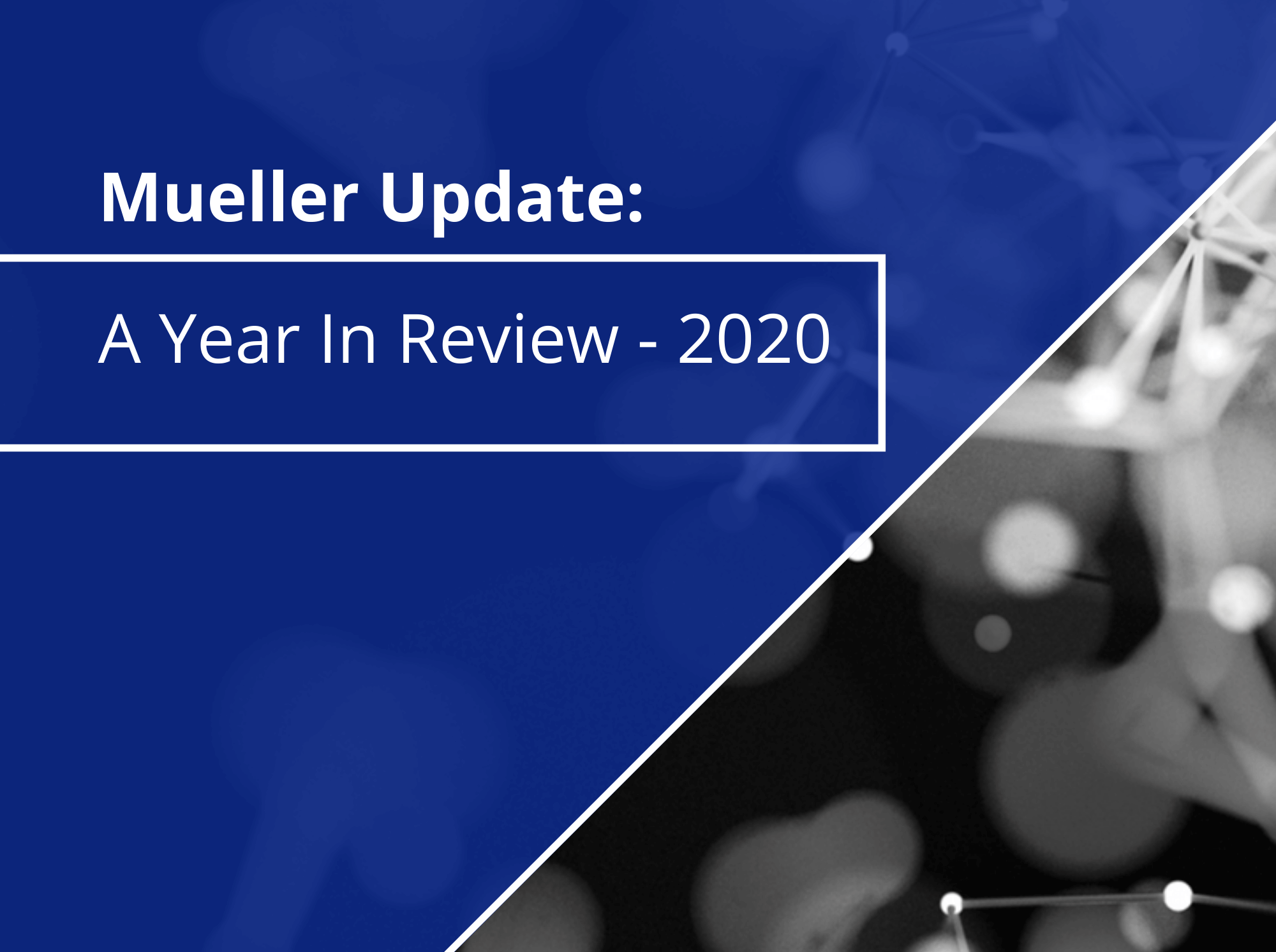 Mueller - A Year in Review 2020
