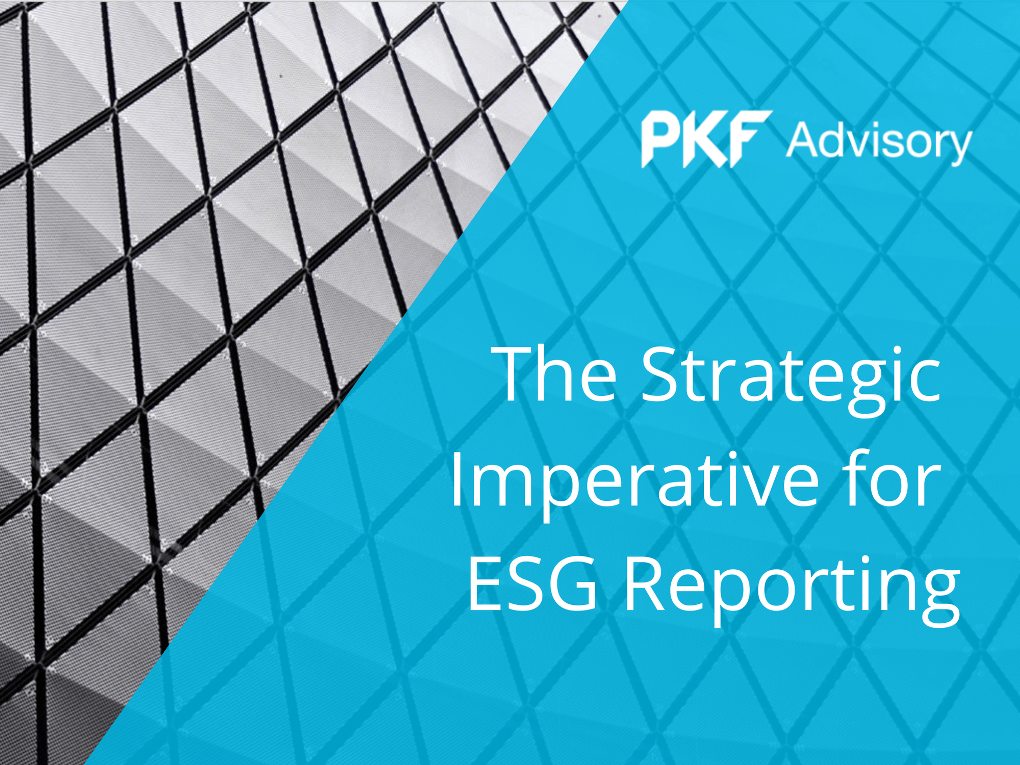 The Strategic Imperative for ESG Reporting